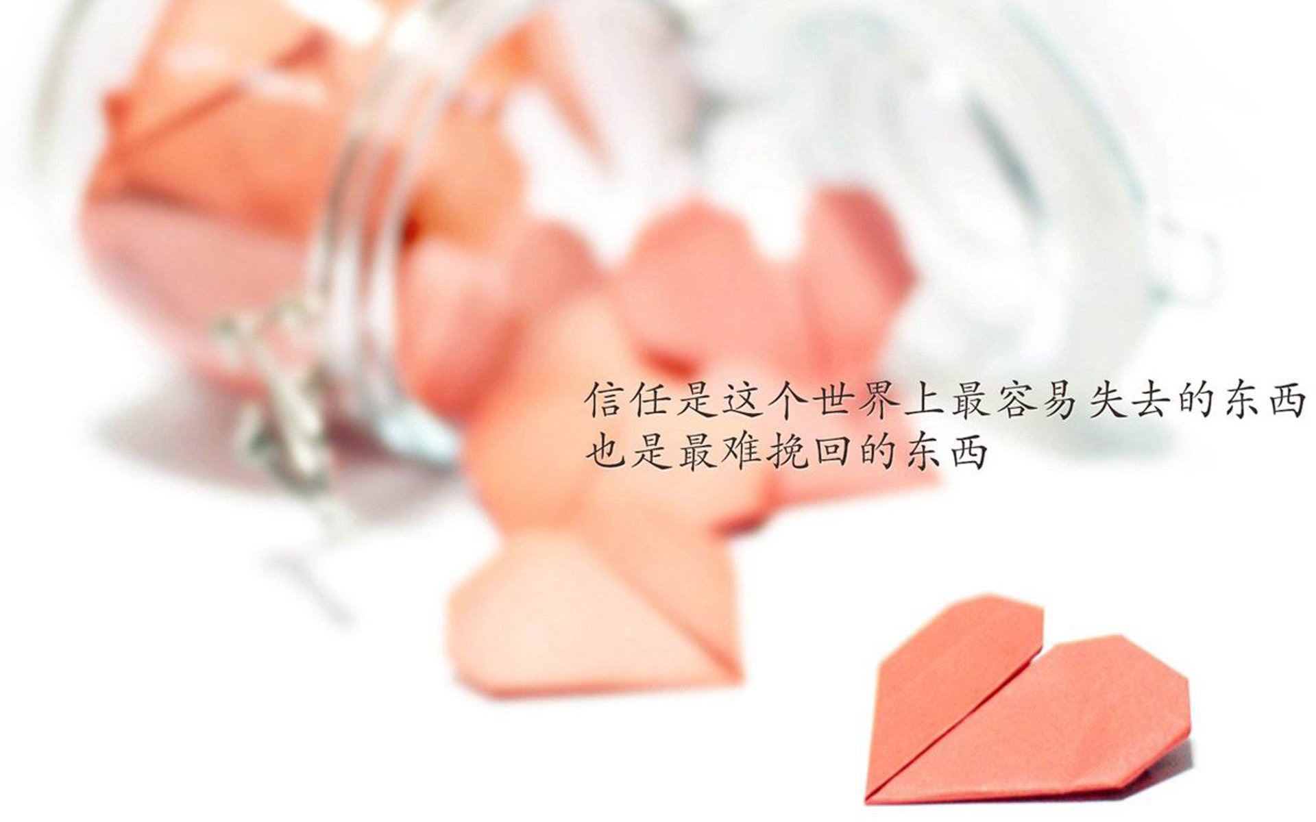 开云官网APP下载-WRC车队全纪录：幕后艰辛与辉煌瞬间，wrc参赛车队2020