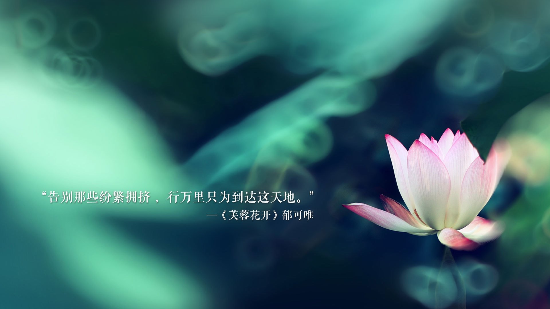 KAIYUN 中国大陆-经典游戏重制版：情怀与创新的碰撞，好玩的重制版游戏