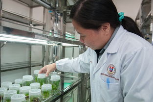 开云网站-中小学体育课安全意识培养研究，中小学体育课安全意识培养研究目的