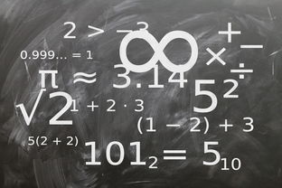 kaiyun体育综合-中小学体育课程标准实施现状与教师执行力研究，中小学体育新课标测试题