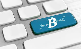开云官方-篮球专项技能教学创新及实战应用研究，篮球专项技术训练要点