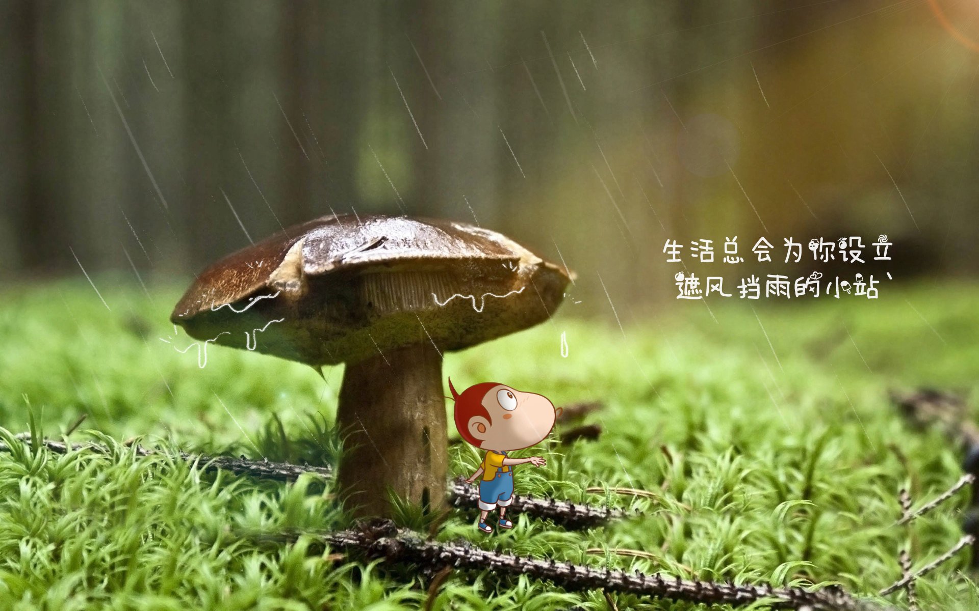 kaiyun开云·官方网站-中国女篮体能提升显著 整体强度增强，体育中国女篮
